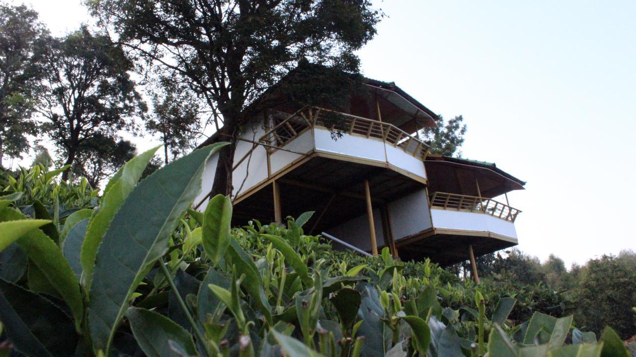 Hôtel Vythiri Hills Extérieur photo